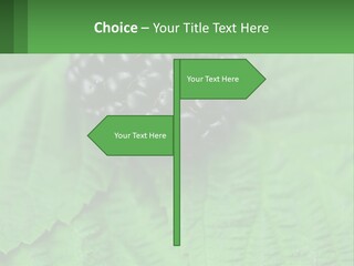 A Bunch Of Blackberries Sitting On Top Of A Green Leaf PowerPoint Template