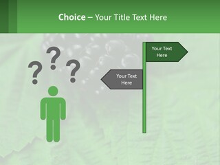 A Bunch Of Blackberries Sitting On Top Of A Green Leaf PowerPoint Template