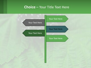 A Bunch Of Blackberries Sitting On Top Of A Green Leaf PowerPoint Template