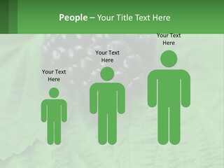 A Bunch Of Blackberries Sitting On Top Of A Green Leaf PowerPoint Template