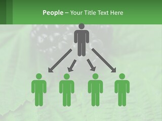 A Bunch Of Blackberries Sitting On Top Of A Green Leaf PowerPoint Template