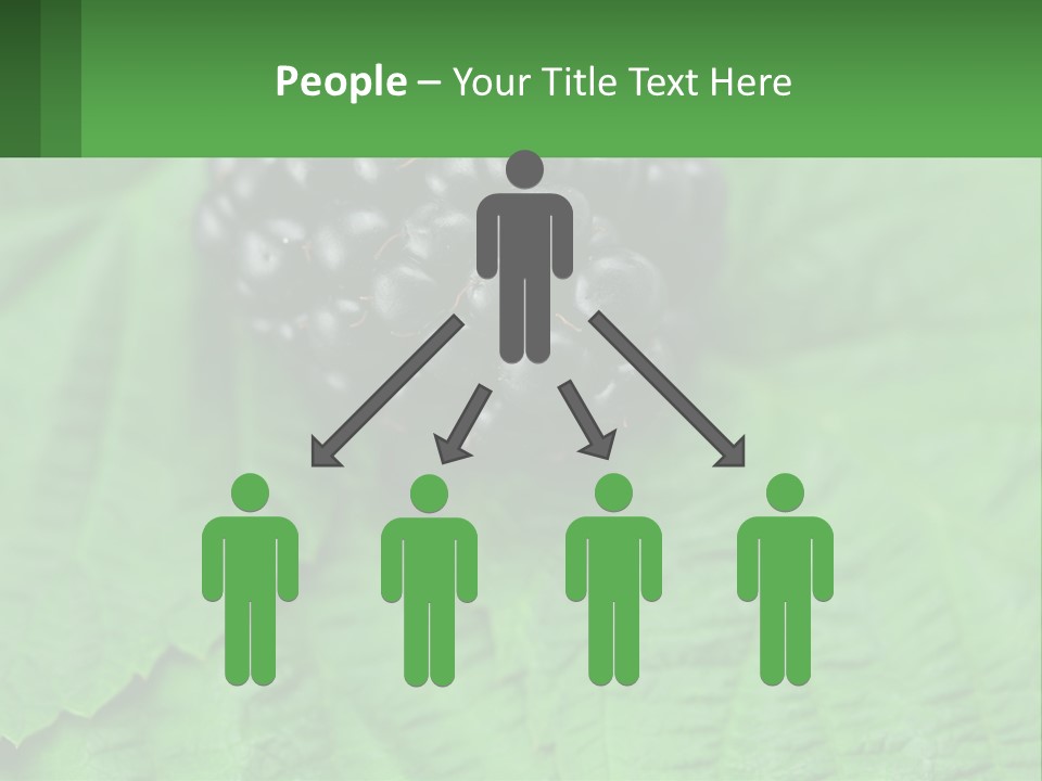 A Bunch Of Blackberries Sitting On Top Of A Green Leaf PowerPoint Template