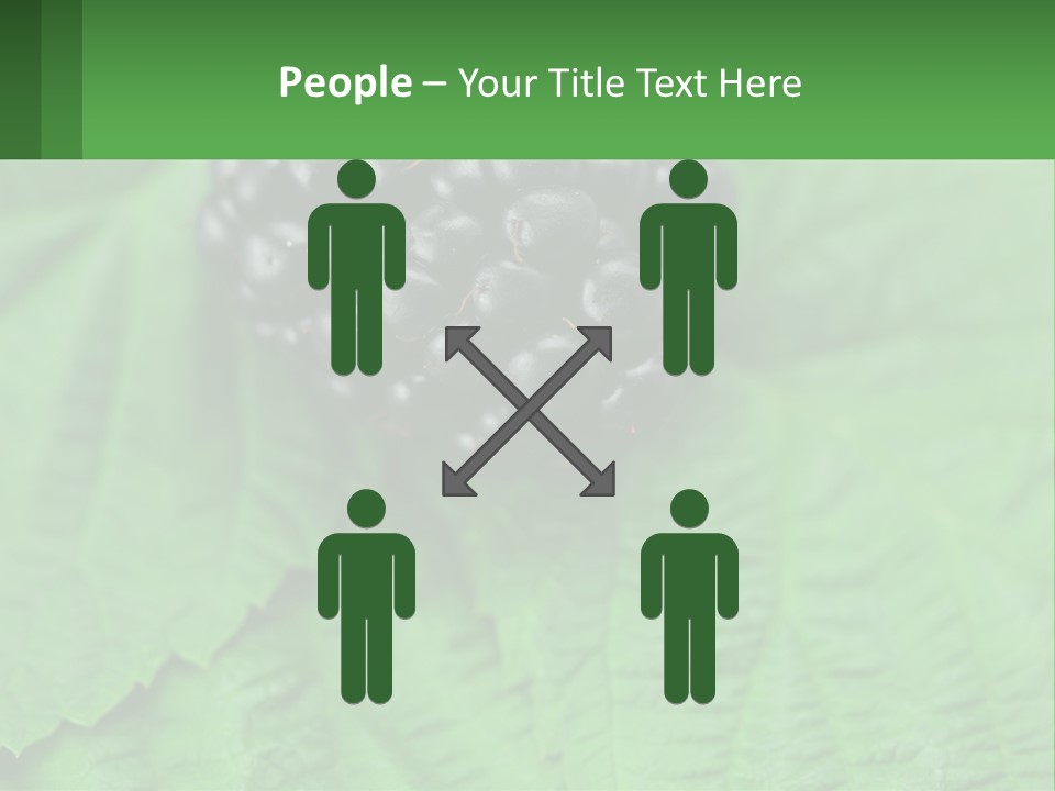 A Bunch Of Blackberries Sitting On Top Of A Green Leaf PowerPoint Template
