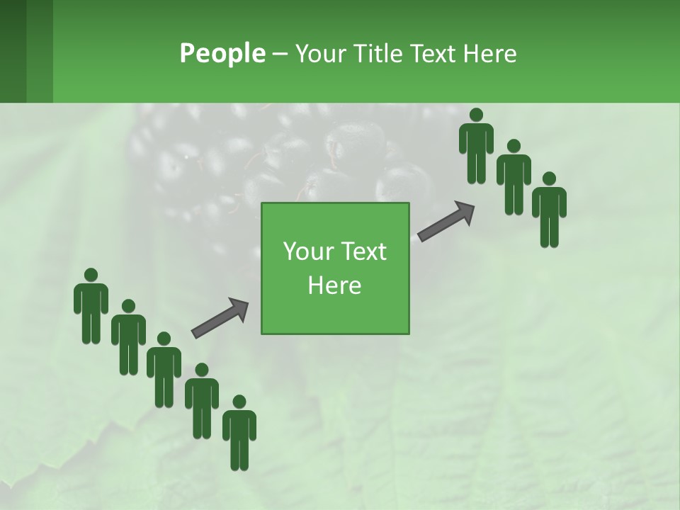 A Bunch Of Blackberries Sitting On Top Of A Green Leaf PowerPoint Template