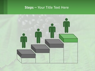 A Bunch Of Blackberries Sitting On Top Of A Green Leaf PowerPoint Template