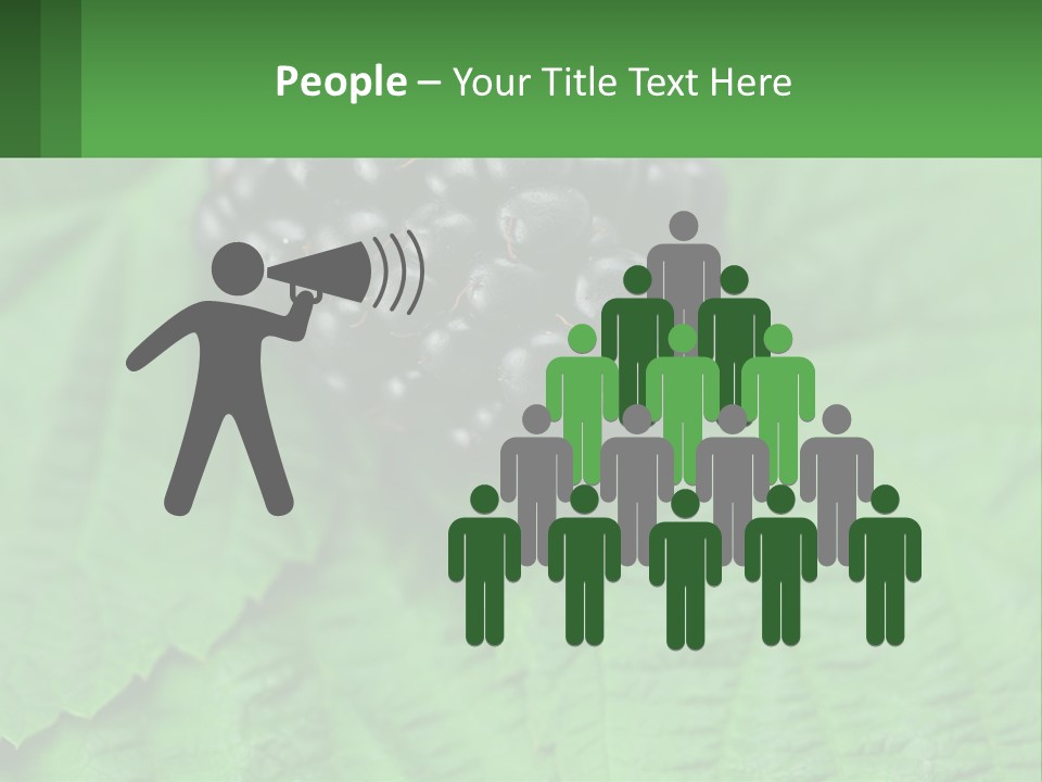 A Bunch Of Blackberries Sitting On Top Of A Green Leaf PowerPoint Template