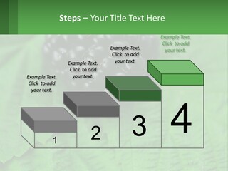 A Bunch Of Blackberries Sitting On Top Of A Green Leaf PowerPoint Template
