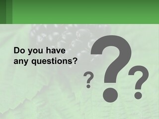 A Bunch Of Blackberries Sitting On Top Of A Green Leaf PowerPoint Template