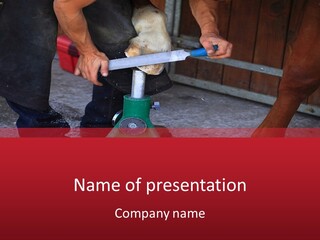 A Man Is Milking A Cow With A Pump PowerPoint Template