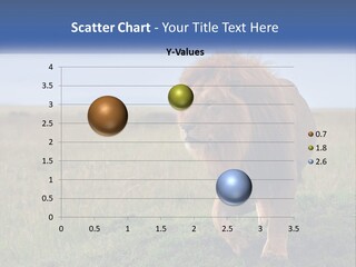 A Lion Standing In The Middle Of A Field PowerPoint Template