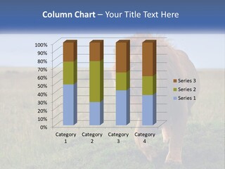A Lion Standing In The Middle Of A Field PowerPoint Template