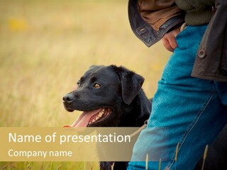 A Person Holding A Black Dog In A Field PowerPoint Template
