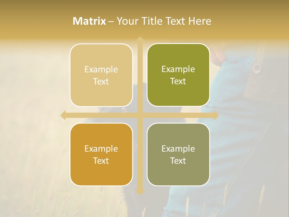 A Person Holding A Black Dog In A Field PowerPoint Template