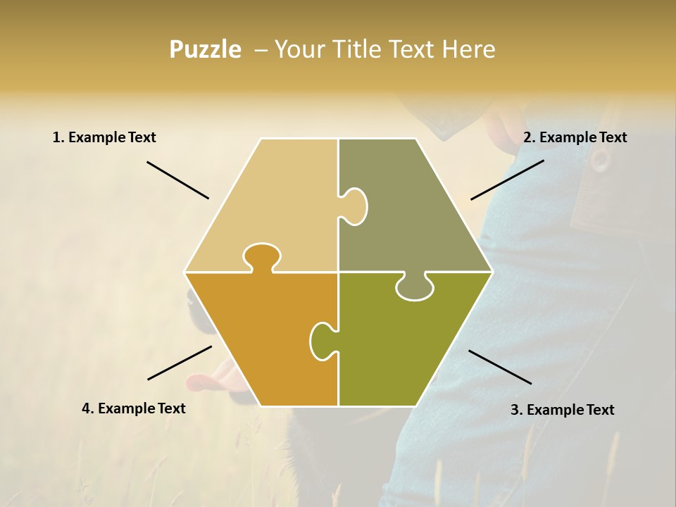 A Person Holding A Black Dog In A Field PowerPoint Template