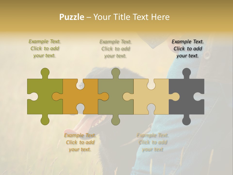 A Person Holding A Black Dog In A Field PowerPoint Template