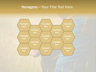 A Person Holding A Black Dog In A Field PowerPoint Template