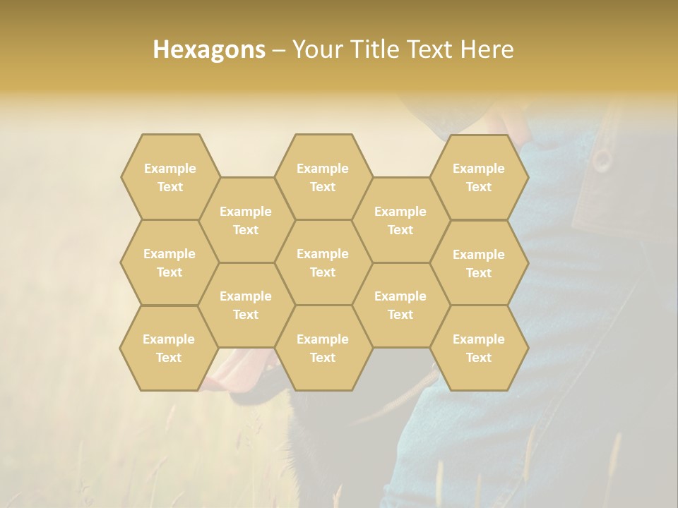 A Person Holding A Black Dog In A Field PowerPoint Template