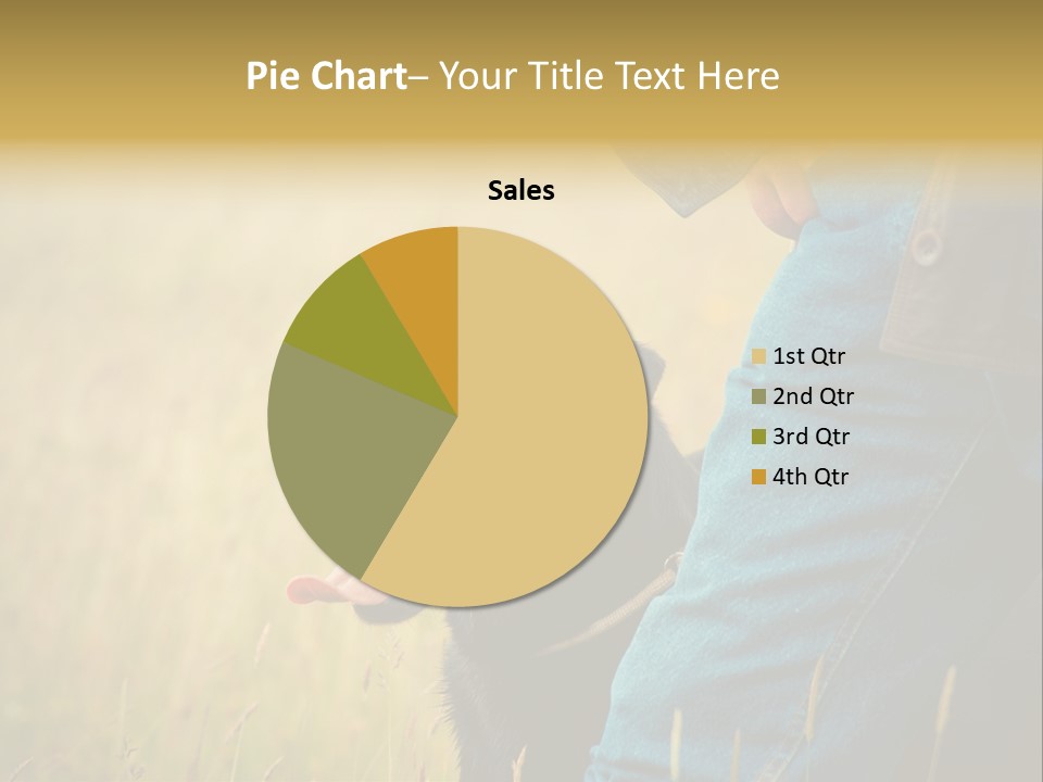 A Person Holding A Black Dog In A Field PowerPoint Template