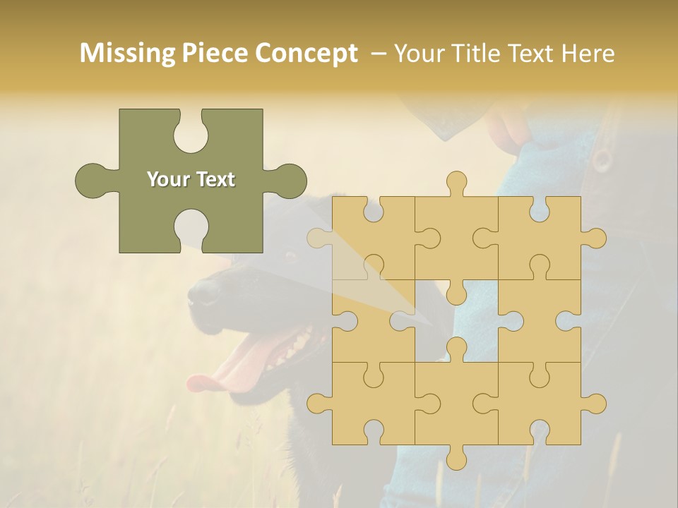 A Person Holding A Black Dog In A Field PowerPoint Template