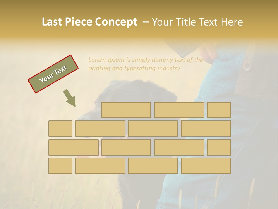 A Person Holding A Black Dog In A Field PowerPoint Template