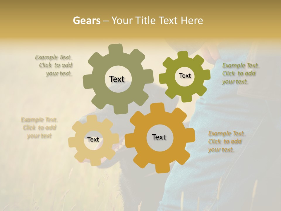 A Person Holding A Black Dog In A Field PowerPoint Template