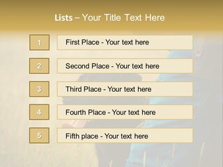 A Person Holding A Black Dog In A Field PowerPoint Template