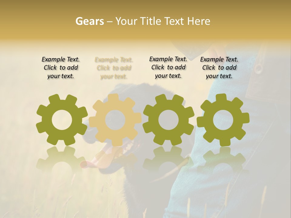 A Person Holding A Black Dog In A Field PowerPoint Template