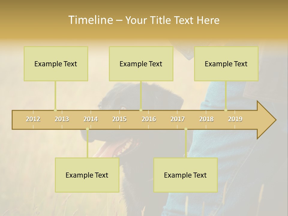 A Person Holding A Black Dog In A Field PowerPoint Template