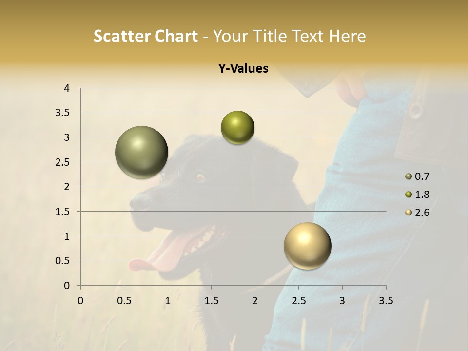 A Person Holding A Black Dog In A Field PowerPoint Template