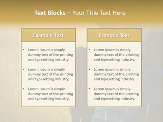 A Person Holding A Black Dog In A Field PowerPoint Template