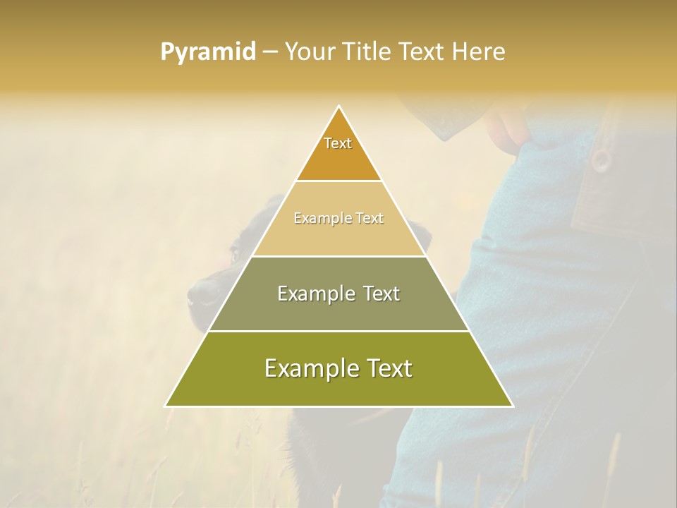 A Person Holding A Black Dog In A Field PowerPoint Template