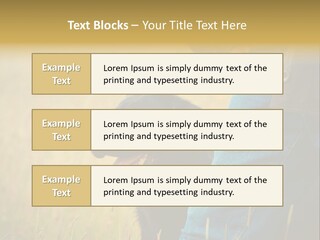 A Person Holding A Black Dog In A Field PowerPoint Template