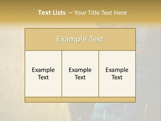 A Person Holding A Black Dog In A Field PowerPoint Template