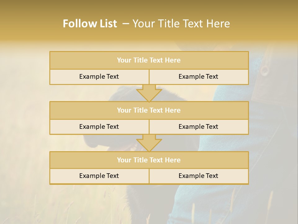 A Person Holding A Black Dog In A Field PowerPoint Template