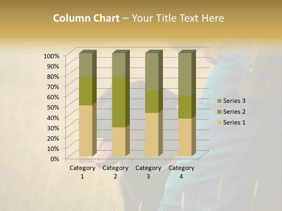 A Person Holding A Black Dog In A Field PowerPoint Template