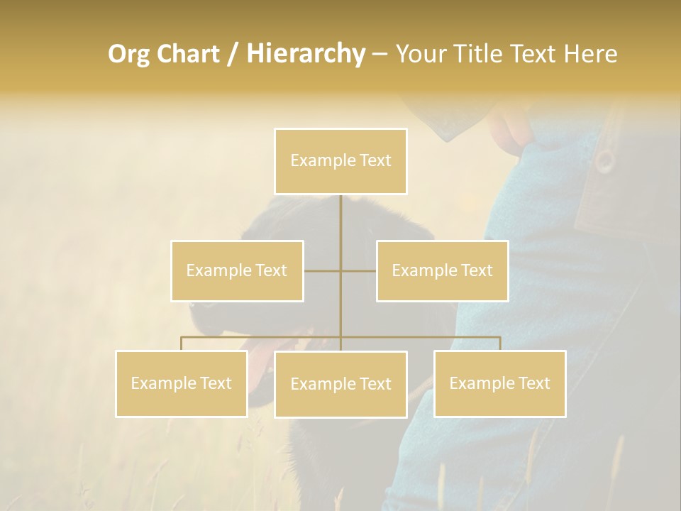 A Person Holding A Black Dog In A Field PowerPoint Template