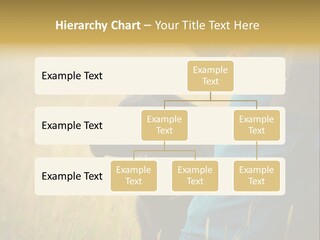 A Person Holding A Black Dog In A Field PowerPoint Template