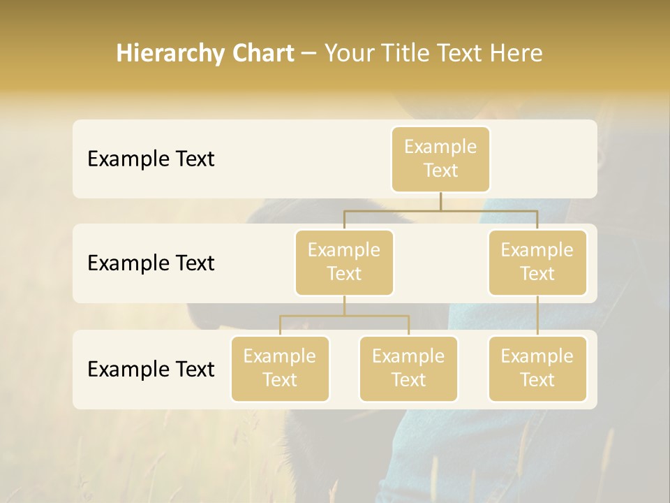 A Person Holding A Black Dog In A Field PowerPoint Template