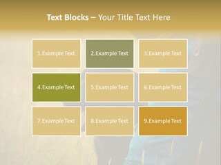 A Person Holding A Black Dog In A Field PowerPoint Template