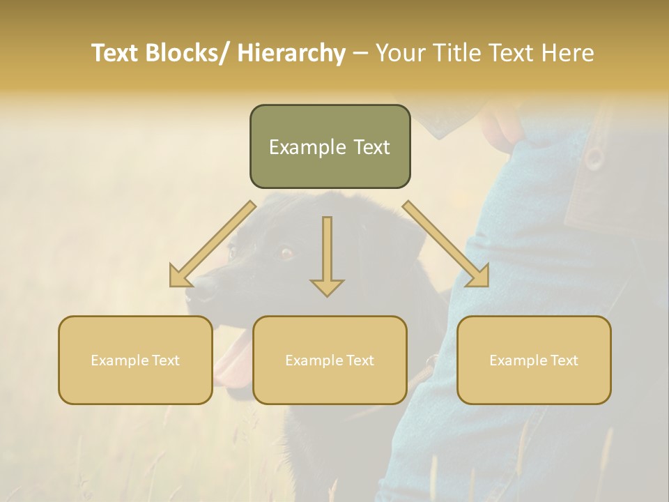 A Person Holding A Black Dog In A Field PowerPoint Template