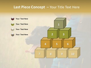A Person Holding A Black Dog In A Field PowerPoint Template