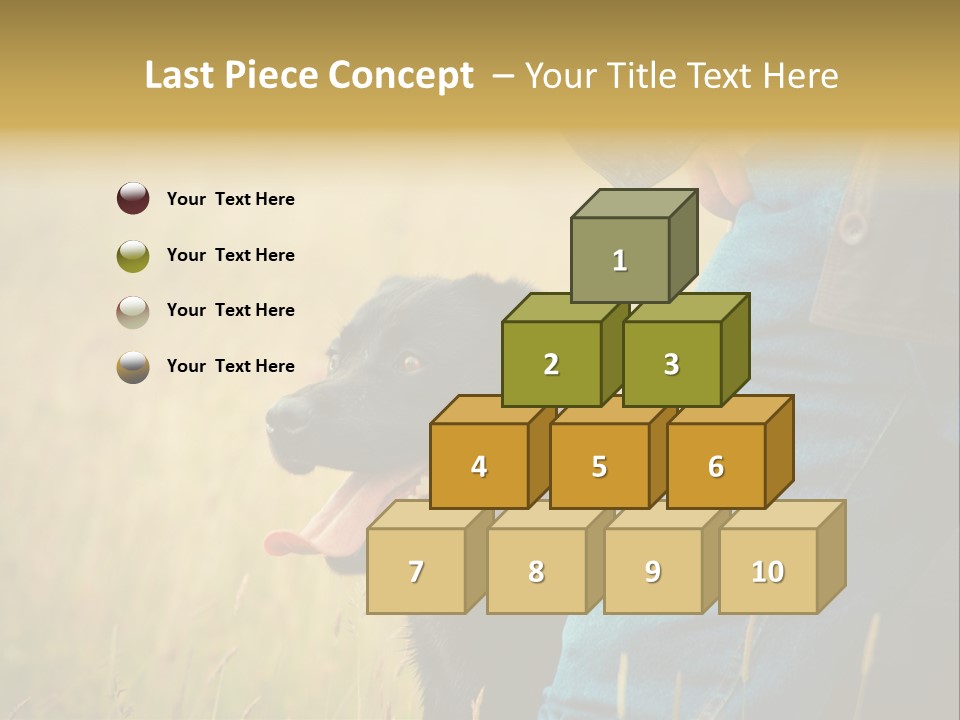 A Person Holding A Black Dog In A Field PowerPoint Template