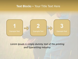 A Person Holding A Black Dog In A Field PowerPoint Template