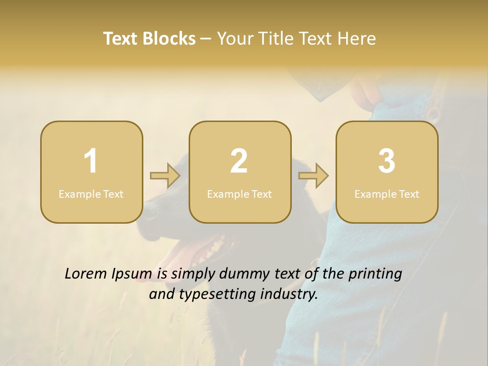 A Person Holding A Black Dog In A Field PowerPoint Template