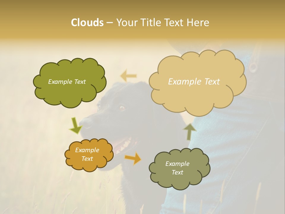 A Person Holding A Black Dog In A Field PowerPoint Template