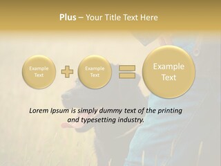 A Person Holding A Black Dog In A Field PowerPoint Template