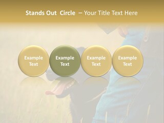 A Person Holding A Black Dog In A Field PowerPoint Template