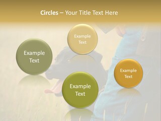 A Person Holding A Black Dog In A Field PowerPoint Template