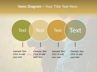 A Person Holding A Black Dog In A Field PowerPoint Template