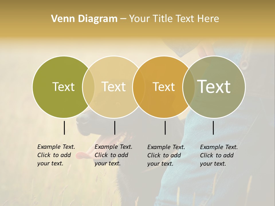 A Person Holding A Black Dog In A Field PowerPoint Template